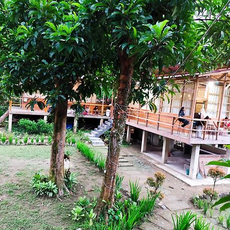 Bua Guesthouse Tangkahan Exterior foto