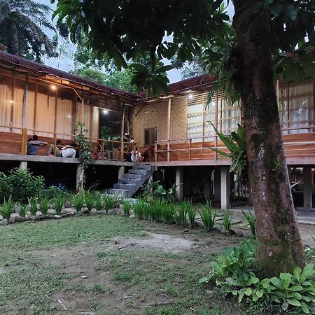 Bua Guesthouse Tangkahan Exterior foto