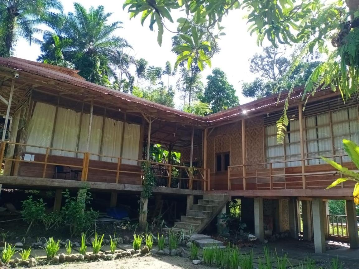 Bua Guesthouse Tangkahan Exterior foto