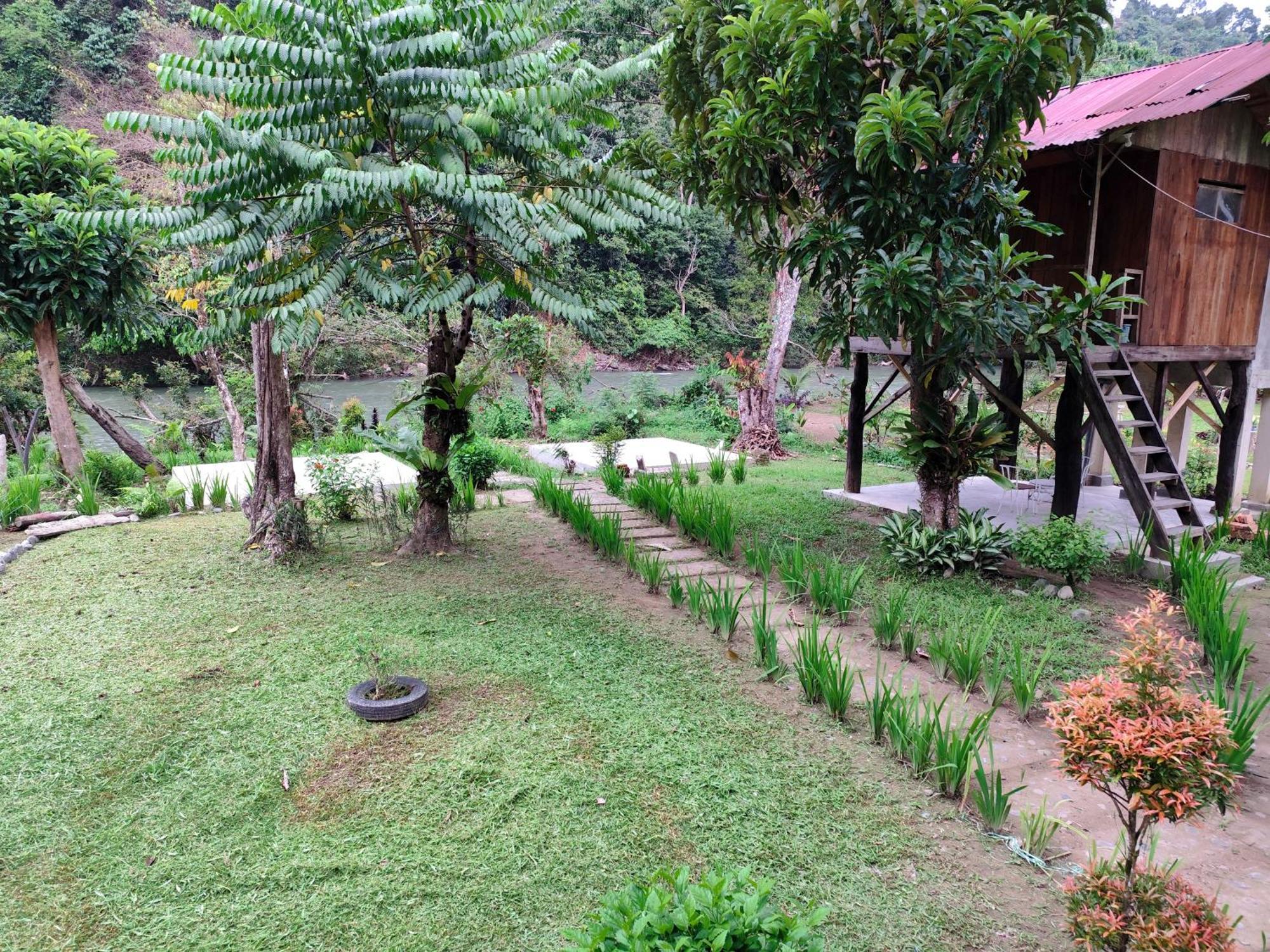 Bua Guesthouse Tangkahan Exterior foto