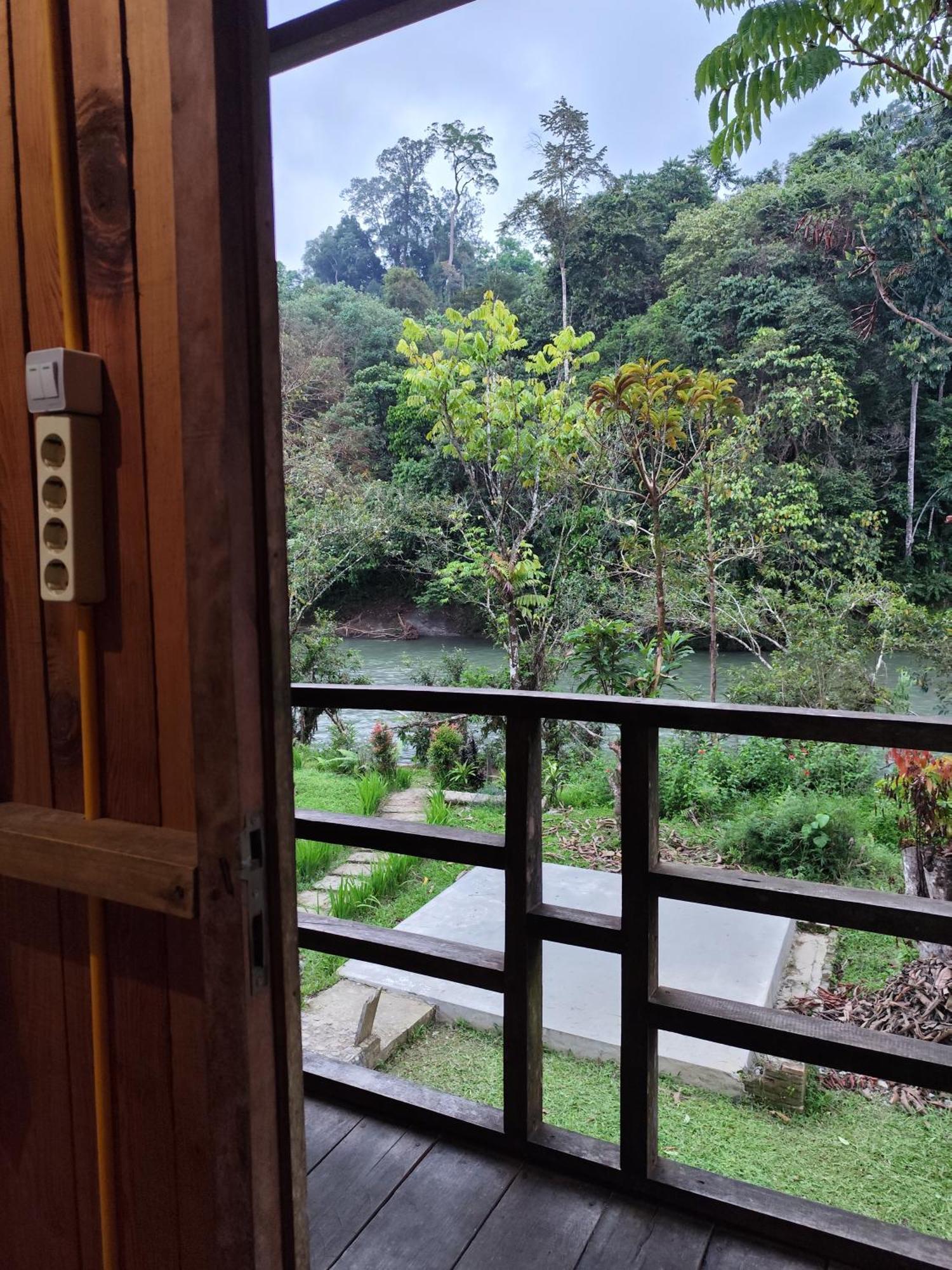 Bua Guesthouse Tangkahan Exterior foto